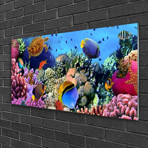 Tablouri acrilice Coral Reef Natura Multi