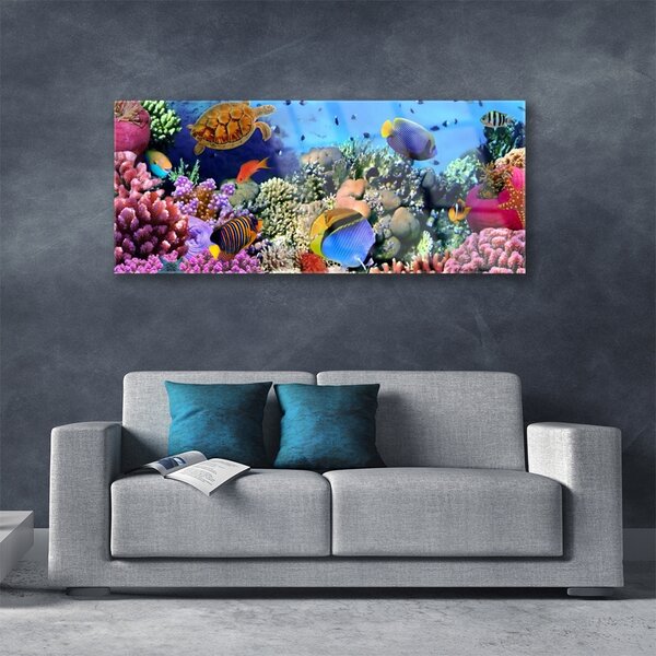 Tablouri acrilice Coral Reef Natura Multi