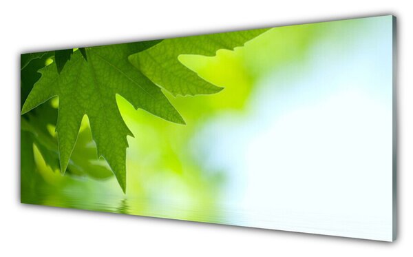 Tablou pe sticla Frunze Natura verde