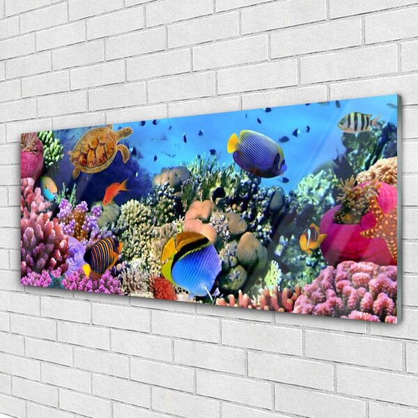 Tablouri acrilice Coral Reef Natura Multi