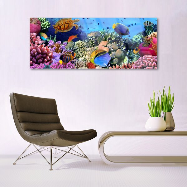 Tablouri acrilice Coral Reef Natura Multi