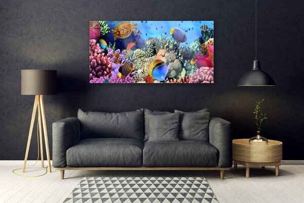 Tablouri acrilice Coral Reef Natura Multi