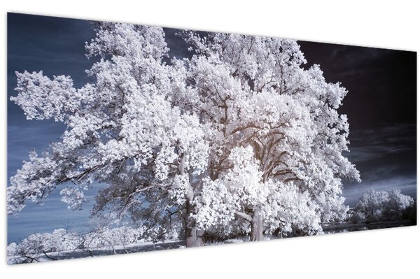 Tablou - Albă ca Zăpada Copac (120x50 cm)
