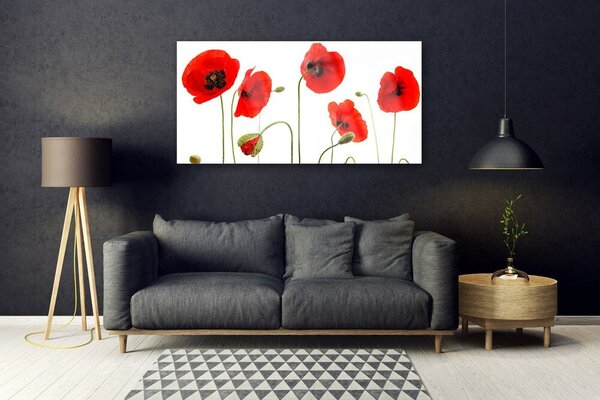 Tablou pe sticla Maci Floral Roșu Negru Verde