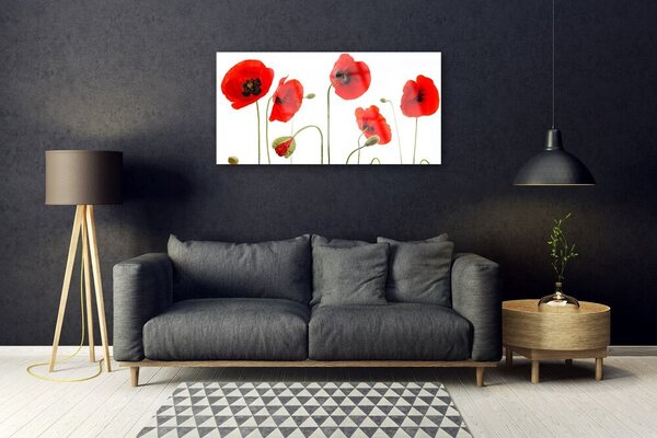 Tablou pe sticla Maci Floral Roșu Negru Verde
