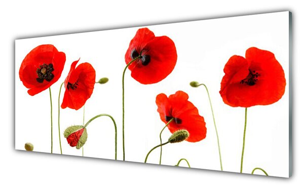 Panou sticla bucatarie Maci Floral Roșu Negru Verde