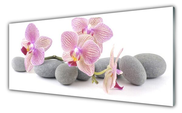 Tablou pe sticla Pietrele de copac Floral Roz Gri