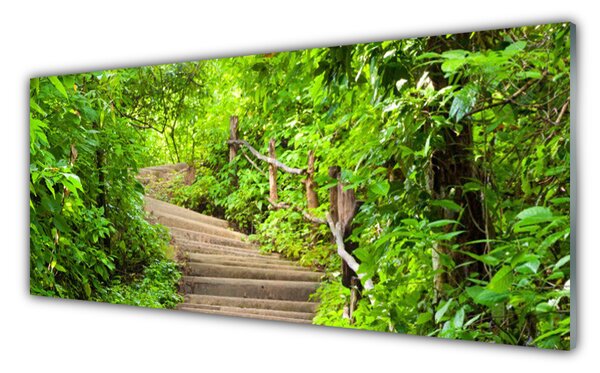Tablouri acrilice Scari Natura Brun Verde