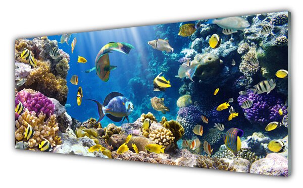 Tablou pe sticla Coral Reef Natura Multi