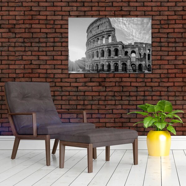 Tablou - Colosseum din Roma, alb-negru (90x60 cm)