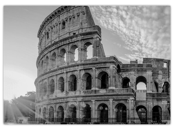 Tablou - Colosseum din Roma, alb-negru (70x50 cm)