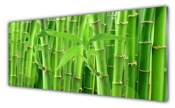 Tablou pe sticla Bamboo Peduncul Floral Verde