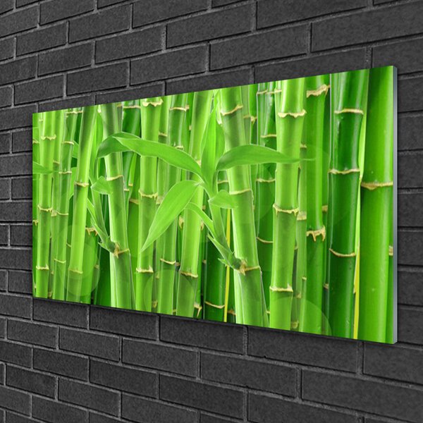 Tablou pe sticla Bamboo Peduncul Floral Verde