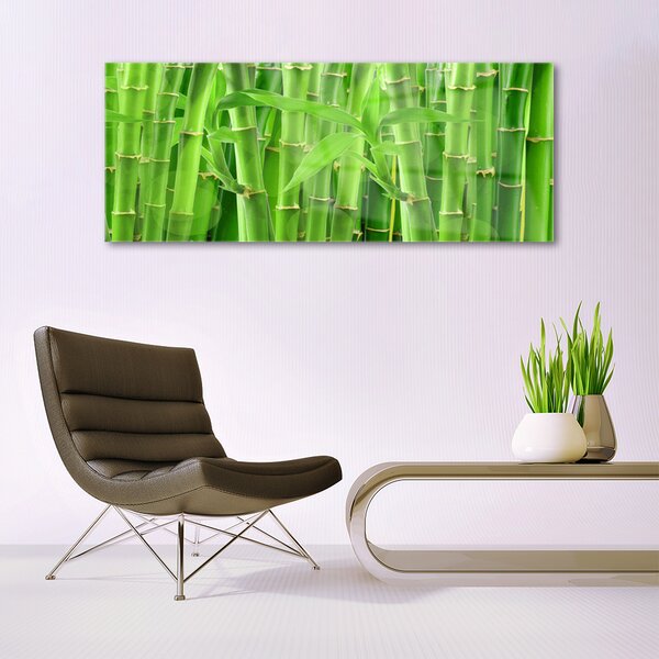 Tablou pe sticla Bamboo Peduncul Floral Verde
