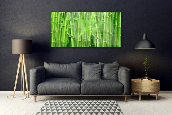 Tablou pe sticla Bamboo Peduncul Floral Verde