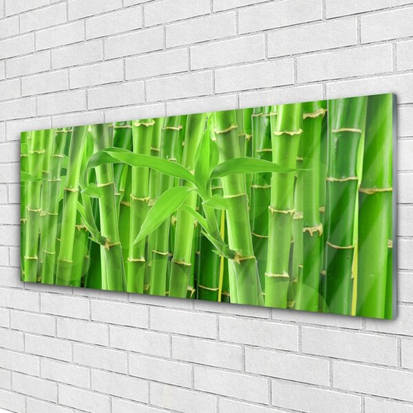Tablou pe sticla Bamboo Peduncul Floral Verde