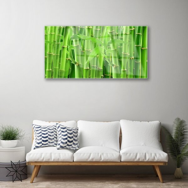 Tablou pe sticla Bamboo Peduncul Floral Verde