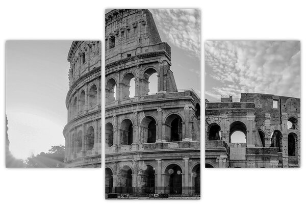 Tablou - Colosseum din Roma, alb-negru (90x60 cm)