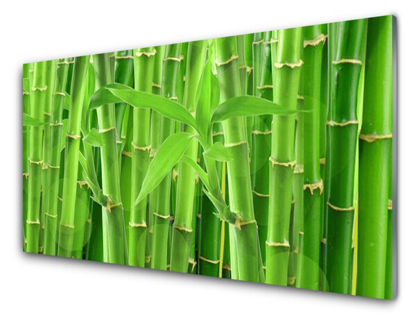 Tablou pe sticla Bamboo Peduncul Floral Verde