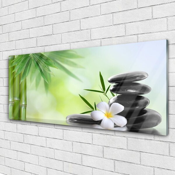 Tablou pe sticla Bamboo Peduncul flori Stones Arta Verde Alb Negru