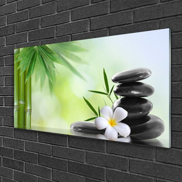 Tablou pe sticla Bamboo Peduncul flori Stones Arta Verde Alb Negru
