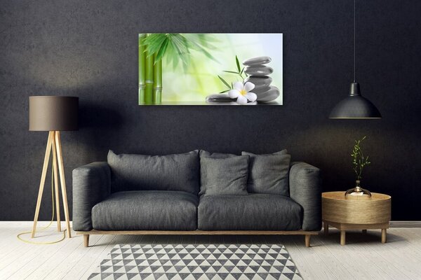 Tablou pe sticla Bamboo Peduncul flori Stones Arta Verde Alb Negru