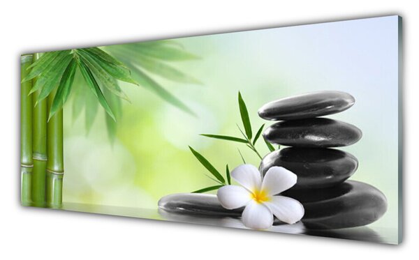 Tablou pe sticla Bamboo Peduncul flori Stones Arta Verde Alb Negru