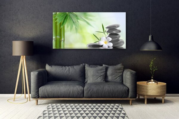 Tablou pe sticla Bamboo Peduncul flori Stones Arta Verde Alb Negru