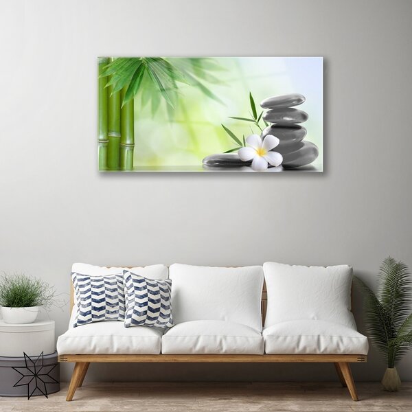 Tablou pe sticla Bamboo Peduncul flori Stones Arta Verde Alb Negru