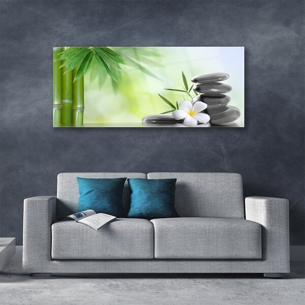Tablou pe sticla Bamboo Peduncul flori Stones Arta Verde Alb Negru