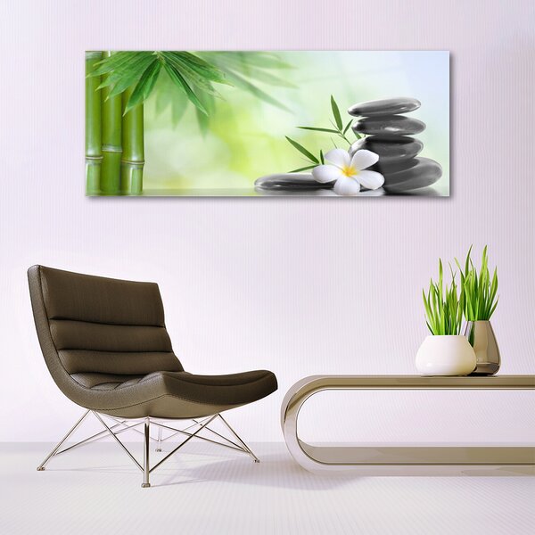 Tablou pe sticla Bamboo Peduncul flori Stones Arta Verde Alb Negru