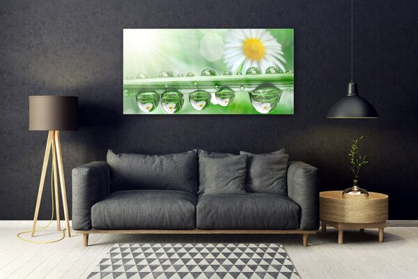 Tablou pe sticla Dew Leaf Natura Verde Alb Margarete Galben