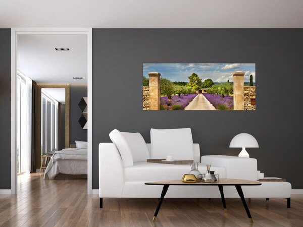 Tablou - Căi de lavandă (120x50 cm)