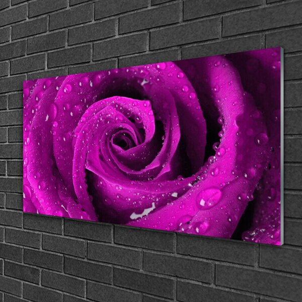Tablou pe sticla Rose Floral roz
