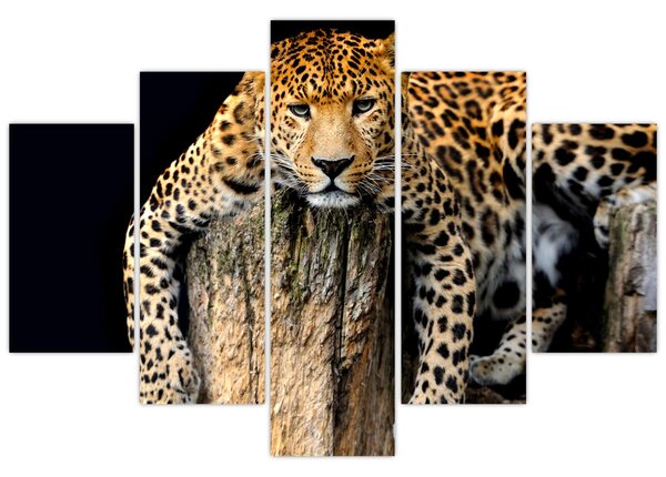 Tablou - Ghepard (150x105 cm)