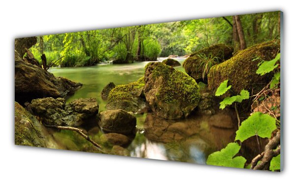 Panou sticla bucatarie Rock Lake Natura verde