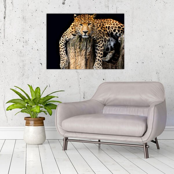 Tablou - Ghepard (70x50 cm)