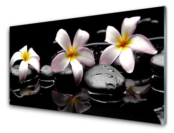 Tablouri acrilice Floare pietre Floral Alb Galben Negru