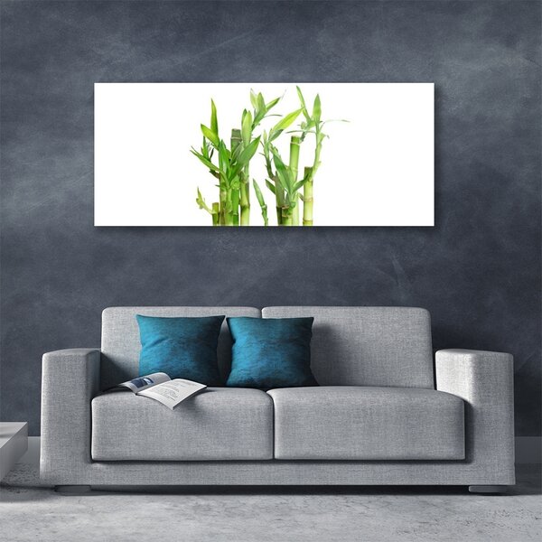 Tablou pe sticla Bamboo Tulpini Floral Verde
