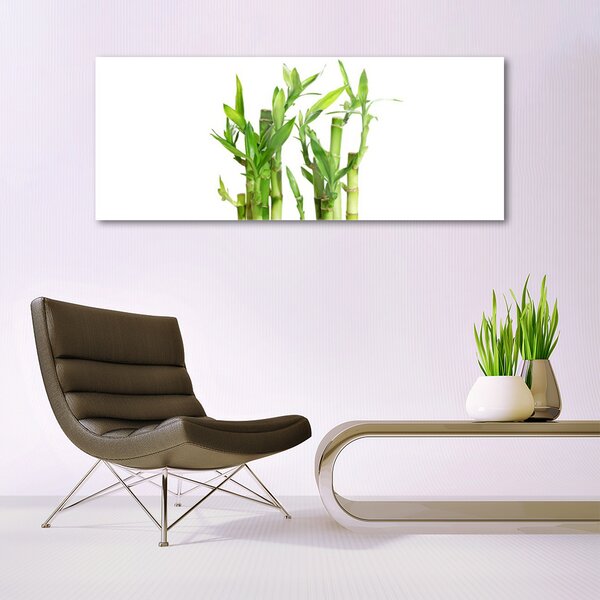 Tablou pe sticla Bamboo Tulpini Floral Verde
