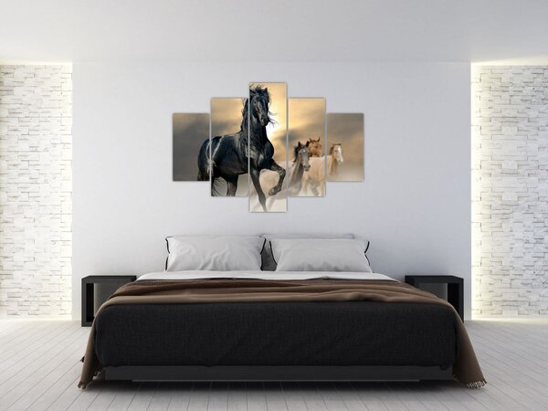 Tablou - Cai (150x105 cm)