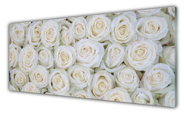 Panou sticla bucatarie Trandafiri Floral Alb