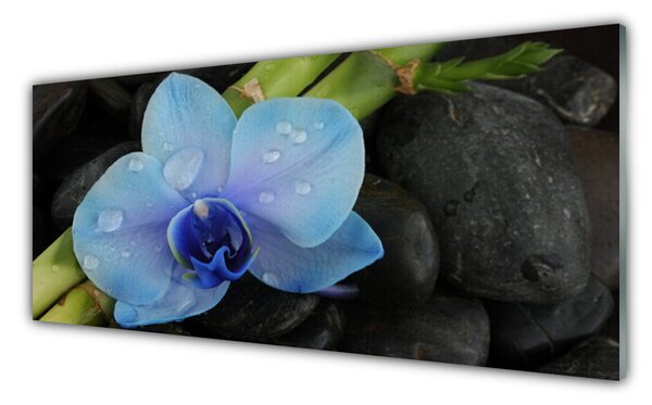 Panou sticla bucatarie Pietre florale flori violet negru