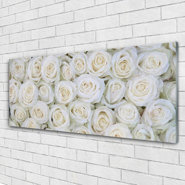 Tablou pe sticla Trandafiri Floral Alb