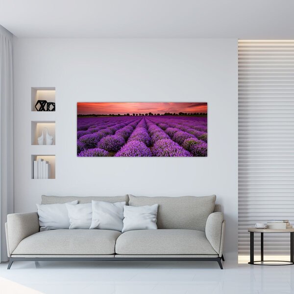 Tablou - Câmp de lavandă (120x50 cm)