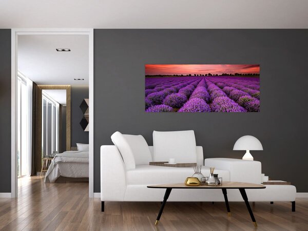 Tablou - Câmp de lavandă (120x50 cm)