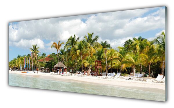 Tablou pe sticla Palm Beach Copaci Peisaj Brun Verde