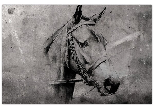 Tablou - Portret de cal (90x60 cm)