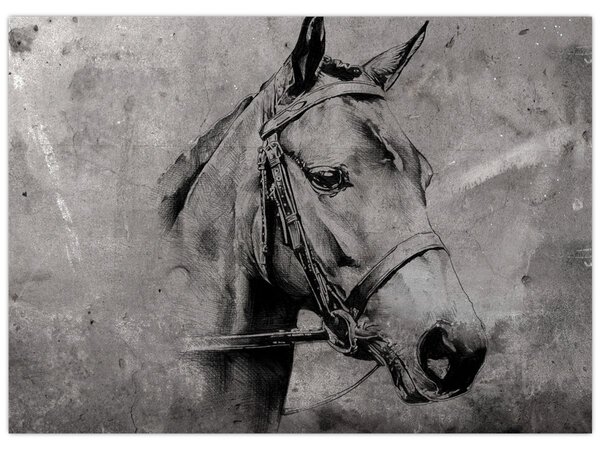 Tablou - Portret de cal (70x50 cm)
