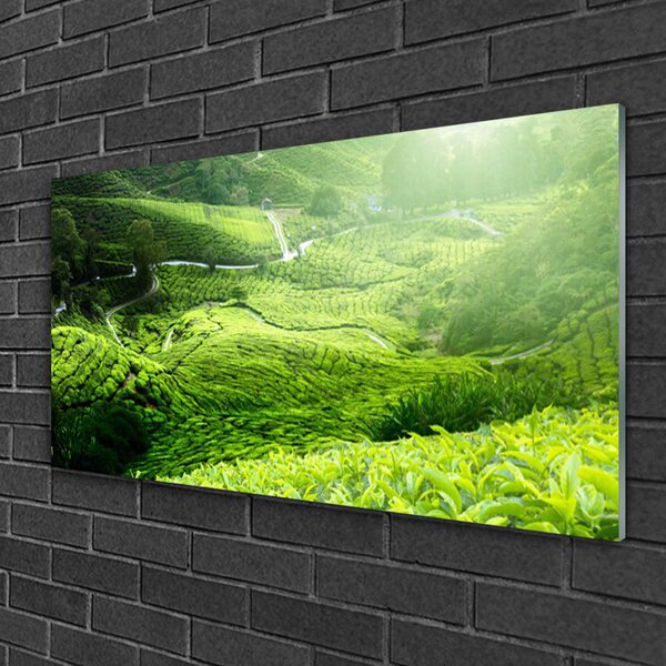 Tablou pe sticla Meadow Natura verde